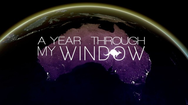 A year through my window