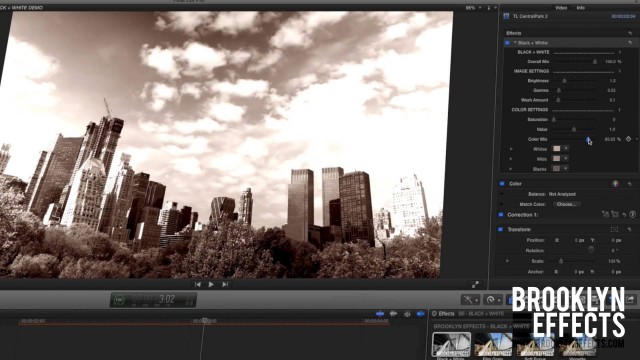 Black + White for Final Cut Pro X from Brooklyn Effects™